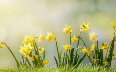 Nu är det vår i Stockholm – dags att öppna upp ditt hem?