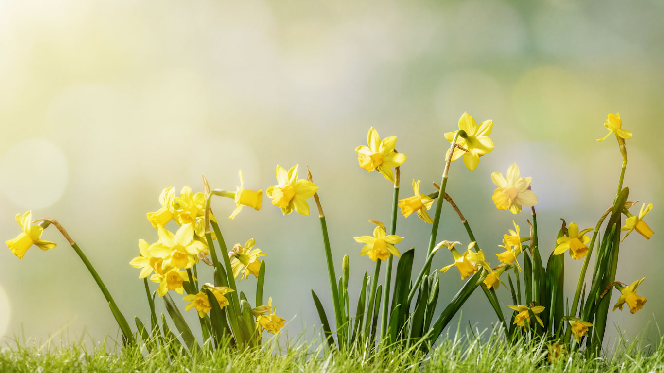 Vår = Byggprojekt i Stockholm