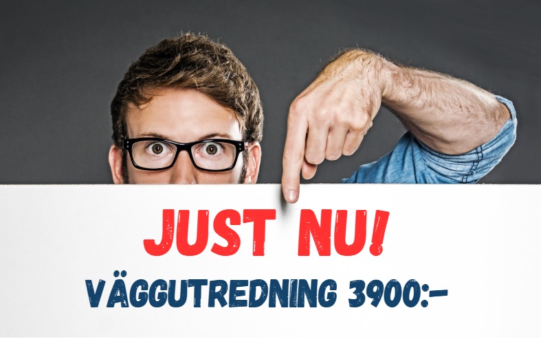 vaggutredning-3900-1 vaggutredning-3900